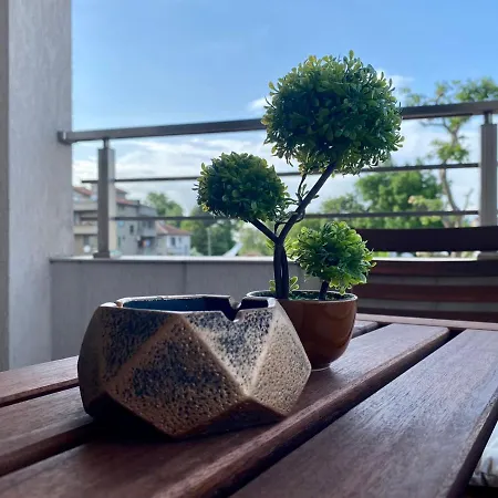 Cozy - St6 아파트 *