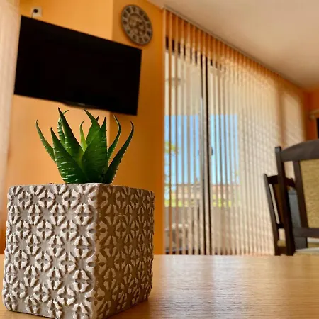 Apartment Cozy - St6 *